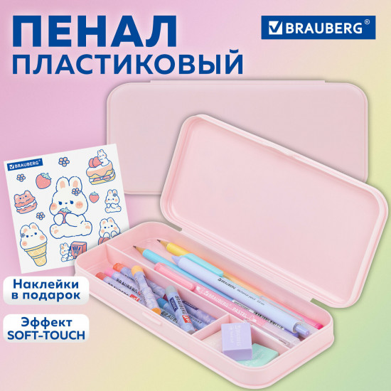 Пенал школьный