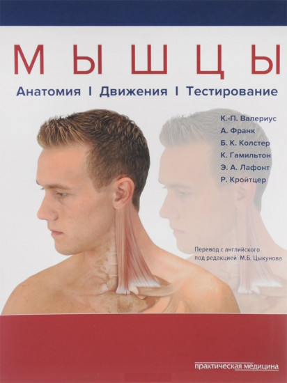 Мышцы. Анатомия. Движения. Тестирование