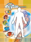 Адам денесі. Кіші және орта мектеп жасындағы балаларға арналған (7-14 жас)