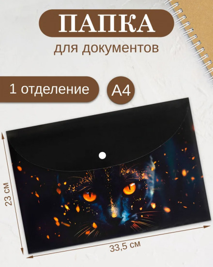 Папка для тетрадей «Кот-маг»