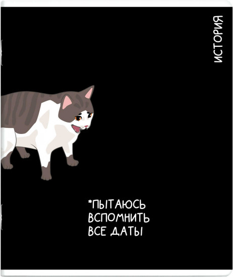 Тетрадь предметная «История»