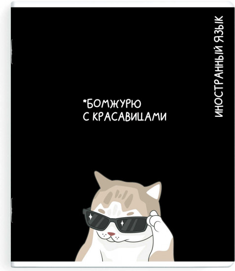 Тетрадь предметная «Иностранный язык»