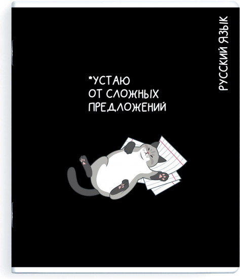 Тетрадь предметная «Русский язык»