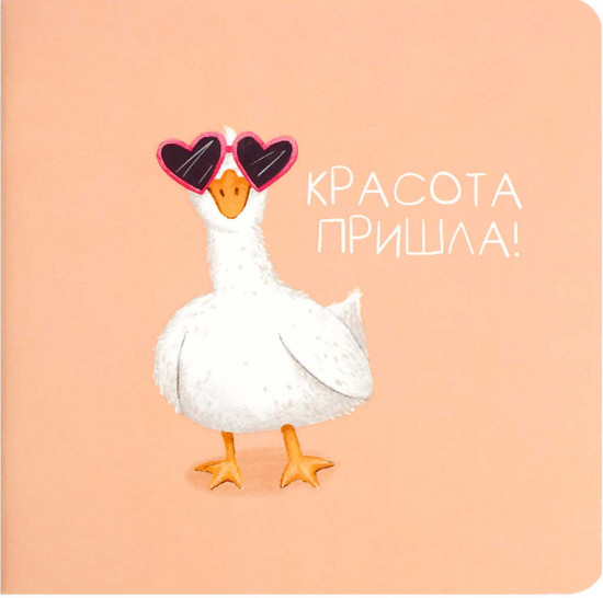 Блокнот «Гусыня-красотуля»