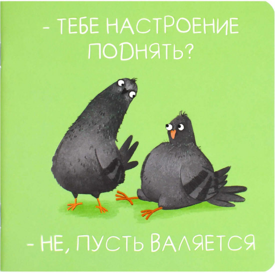 Блокнот «Озорные голуби»