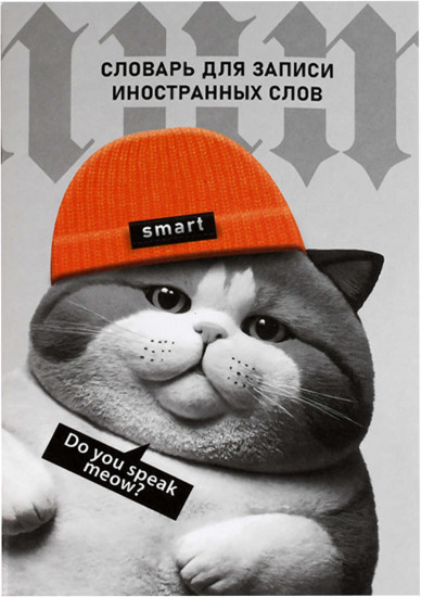 Тетрадь для записи иностранных слов «Кот в шапочке»