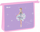 Папка для тетрадей «Dance Dream»