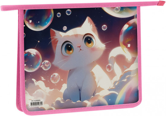 Папка для тетрадей «Soap Bubbles»