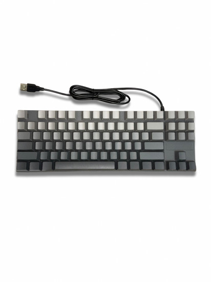 Клавиатура игровая Ruiyi F87