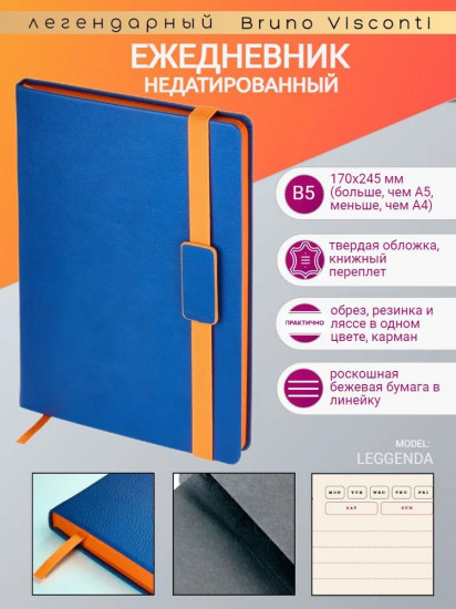 Ежедневник недатированный