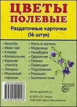 Раздаточные карточки "Цветы полевые" (16 штук) | Познавательное и речевое развитие
