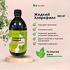 Жидкий хлорофилл из арктической ламинарии