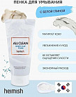 Пенка для умывания «All Clean White Clay Foam»