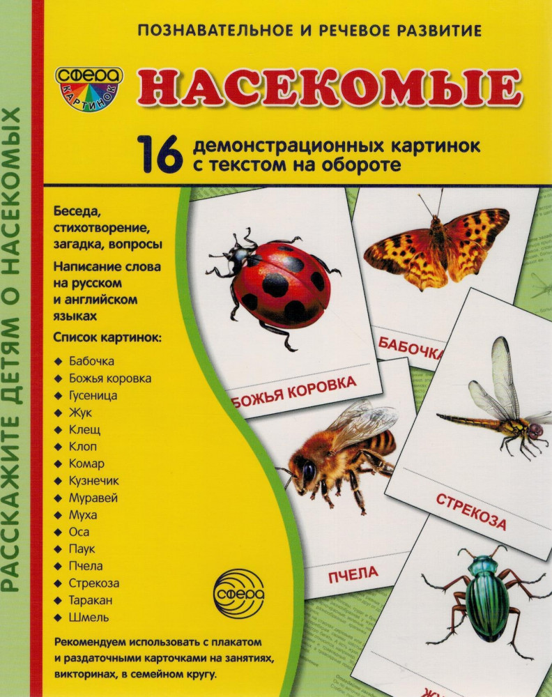Насекомые. 16 демонстрационных картинок | Познавательное и речевое развитие