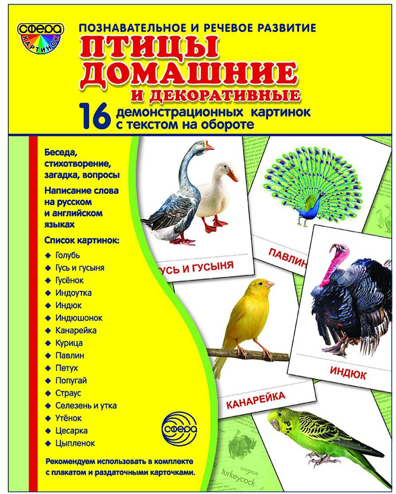 Птицы домашние и декоративные. Демонстрационные картинки | Познавательное и речевое развитие