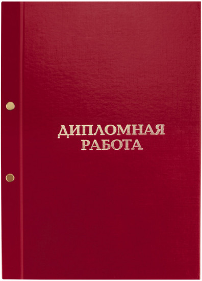 Папка «Дипломная работа»
