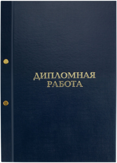 Папка «Дипломная работа»