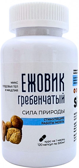 Ежовик классический