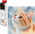 Мозаика алмазная «Рыжий котенок»
