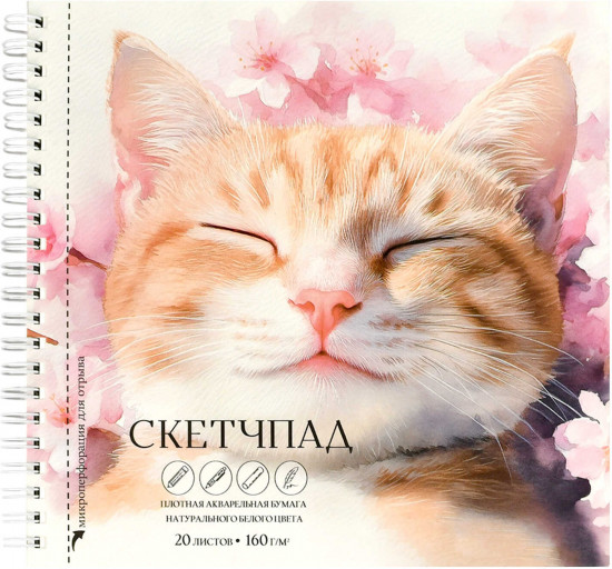 Скетчпад «Спящий кот»