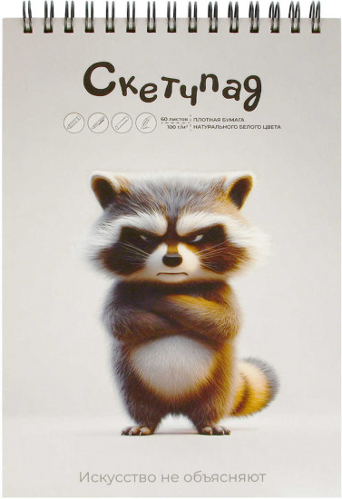 Скетчпад «Сердитый енот»