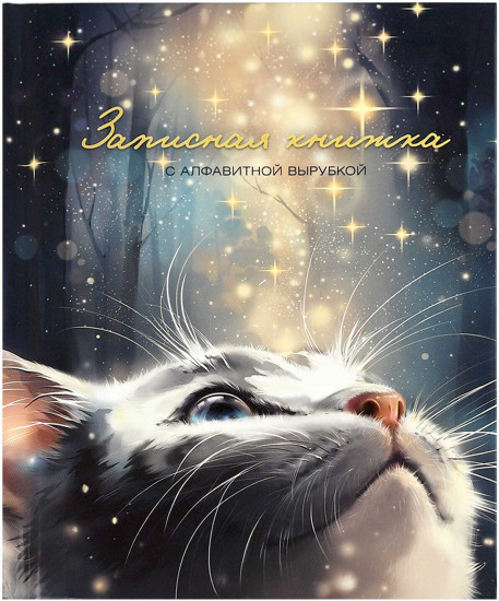 Книжка записная «Кот со звездами»