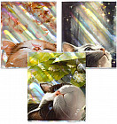 Комплект обложек для тетрадей с голографическим рисунком