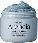 Очищающее средство «Fresh Blue Hyssop Rice Mochi Cleanser»