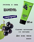 черная смородина