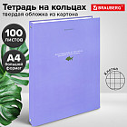 Тетрадь на кольцах «Monocolor»