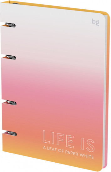 Тетрадь на кольцах «Life is»