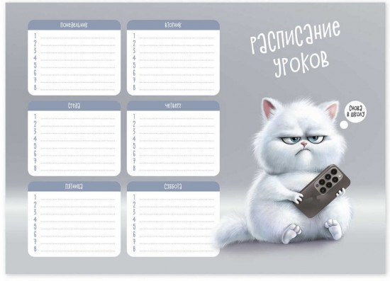 Расписание уроков «Сердитый кот»