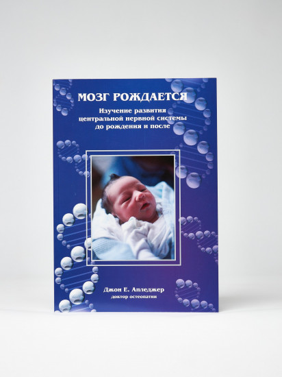 Мозг рождается