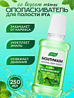 мята