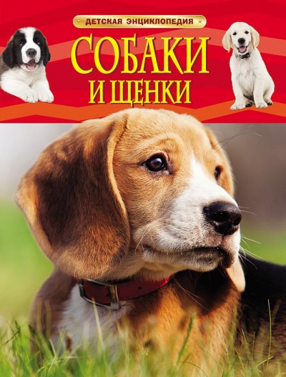 Собаки и щенки