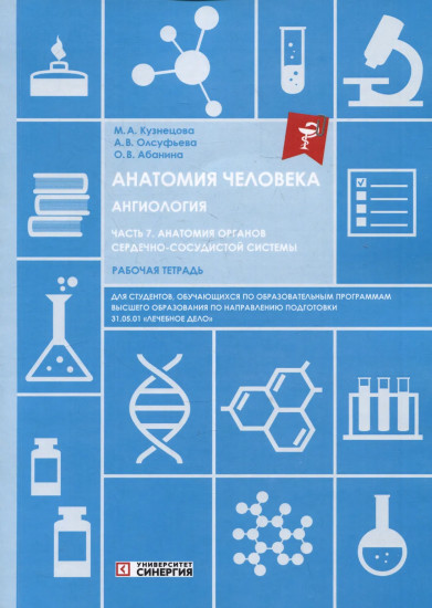 Анатомия человека: Ангиология Часть 7: Анатомия органов сердечно-сосудистой системы. Рабочая тетрадь
