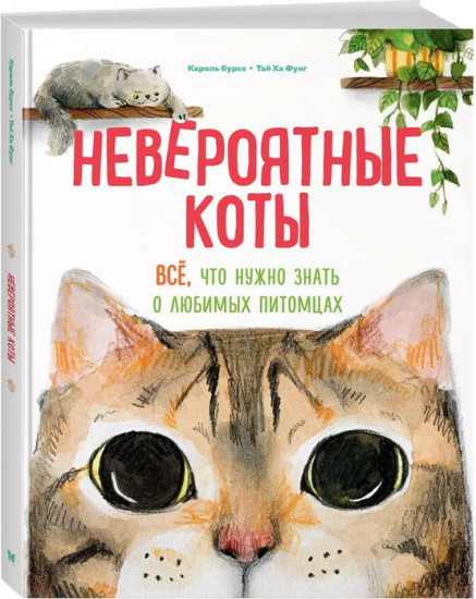 Невероятные коты. Всё, что нужно знать о любимых питомцах