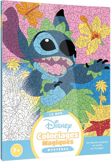Раскраска по номерам «Coloriages Magiques»