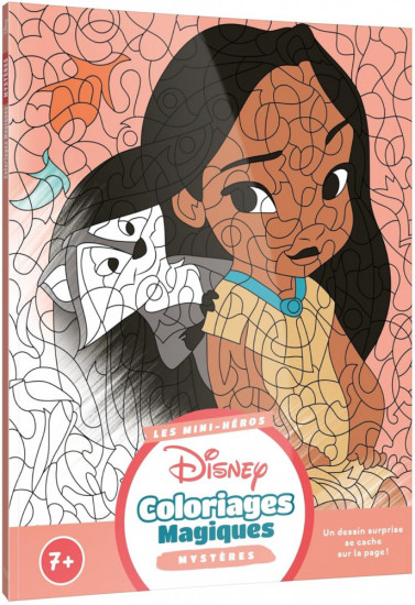Раскраска по номерам «Coloriages Magiques»