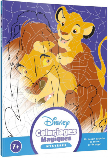 Раскраска по номерам «Coloriages Magiques»