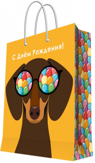 Пакет подарочный «Веселье»