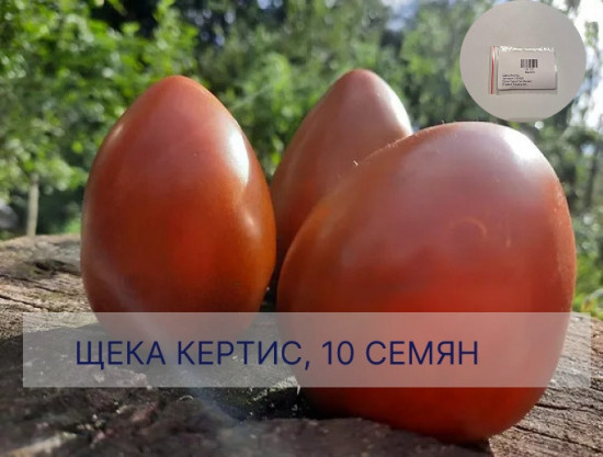 Коллекционные семена томата «Щека Кертис»