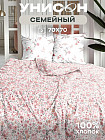 семейное дуэт