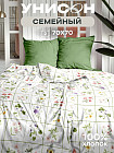 семейное дуэт