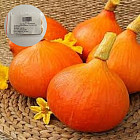 Семена тыквы крупноплодной «Китайский фонарик»