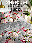 евро