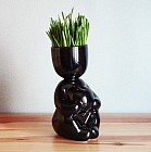 Набор для выращивания «Романтик», черный