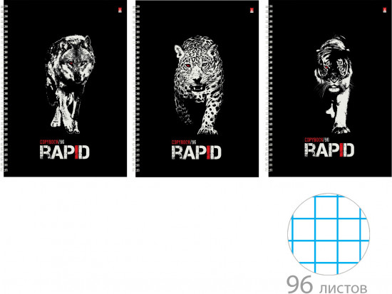 Тетрадь общая «Rapid»