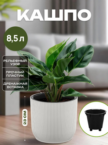 Кашпо