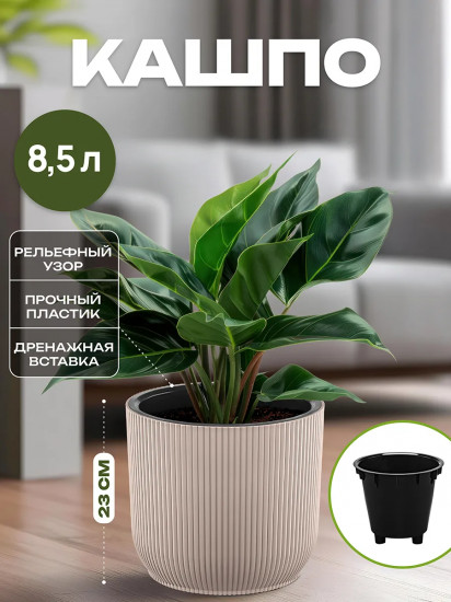 Кашпо